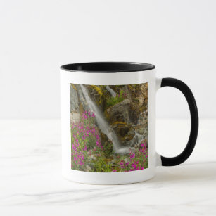 USA, Alaska, Glacier Bay National Park. Fireweed Mug