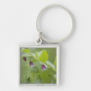 USA, Alaska, Glacier Bay National Park. Keychain