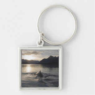 USA, Alaska, Glacier Bay National Park, Keychain