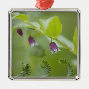 USA, Alaska, Glacier Bay National Park. Metal Ornament