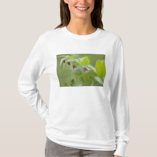 USA, Alaska, Glacier Bay National Park. T-Shirt