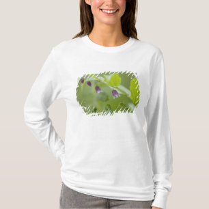 USA, Alaska, Glacier Bay National Park. T-Shirt