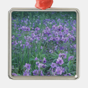 USA, Alaska, Hillberg Lake Wilderness Wild Metal Ornament