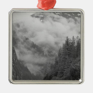 USA, Alaska, Juneau, Rainforest covers fjords in Metal Ornament