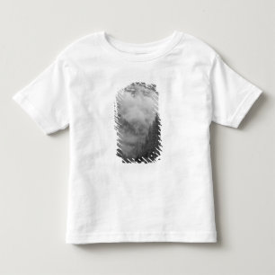 USA, Alaska, Juneau, Rainforest covers fjords in Toddler T-shirt