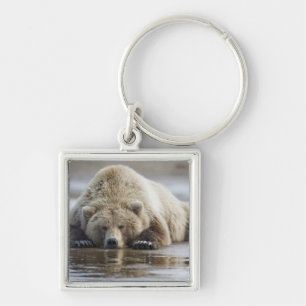 USA, Alaska, Katmai National Park, Brown Bear Keychain