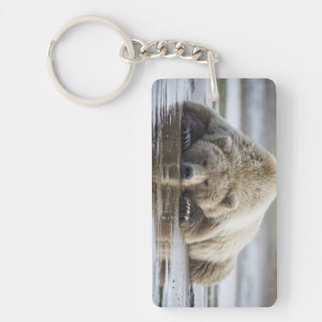 USA, Alaska, Katmai National Park, Brown Bear Keychain (Front)