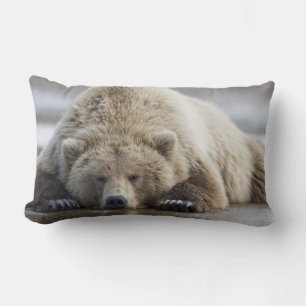 USA, Alaska, Katmai National Park, Brown Bear Lumbar Pillow
