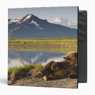 USA, Alaska, Katmai National Park, Brown Bears Binder
