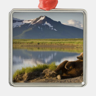 USA, Alaska, Katmai National Park, Brown Bears Metal Ornament