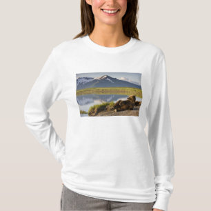 USA, Alaska, Katmai National Park, Brown Bears T-Shirt