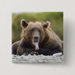 USA, Alaska, Katmai National Park, Kukak Bay, 2 Inch Square Button