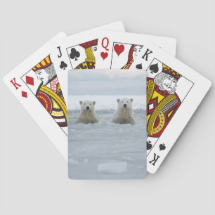 USA, Alaska, North Slope, 1002 Area 2 Playing Cards