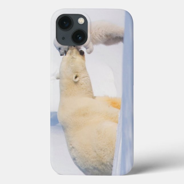 USA, Alaska, North Slope | Polar Bears Case-Mate iPhone Case (Back)