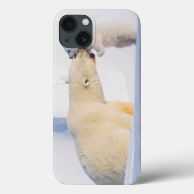 USA, Alaska, North Slope | Polar Bears Case-Mate iPhone Case (Back)