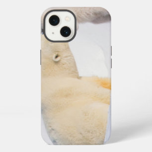 USA, Alaska, North Slope Polar Bears iPhone 13 Case