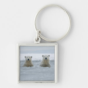USA, Alaska, North Slope, Polar Bears Keychain