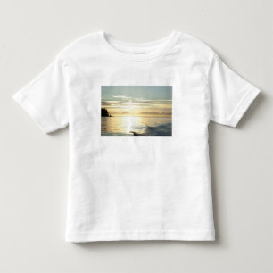 USA, Alaska, Southeast near Ketchikan, sunset. Toddler T-shirt