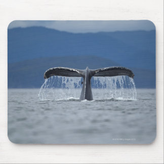 USA, Alaska, Tongass National Forest, Humpback Mouse Pad