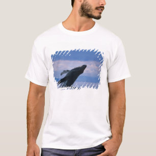 USA, Alaska, Tongass National Forest, Humpback T-Shirt