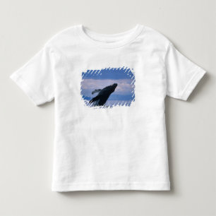 USA, Alaska, Tongass National Forest, Humpback Toddler T-shirt