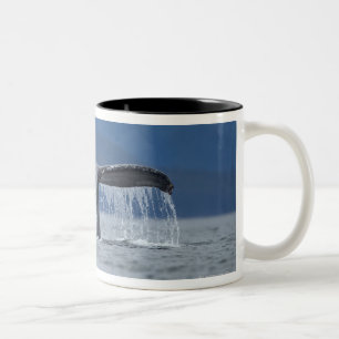 USA, Alaska, Tongass National Forest, Humpback Two-Tone Coffee Mug
