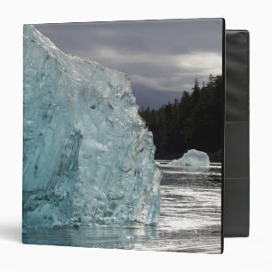USA, Alaska, Tongass National Forest, Tracy 2 Binder