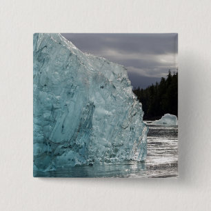 USA, Alaska, Tongass National Forest, Tracy 2 Inch Square Button