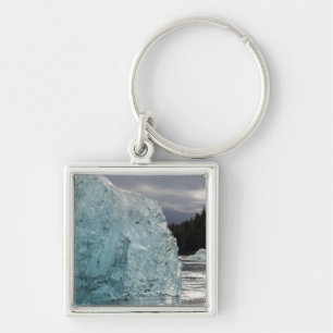 USA, Alaska, Tongass National Forest, Tracy 2 Keychain