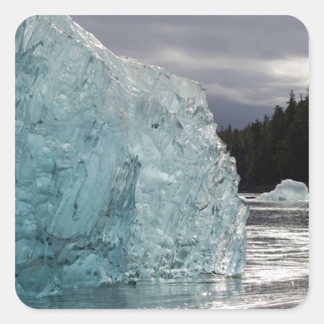 USA, Alaska, Tongass National Forest, Tracy 2 Square Sticker (Front)