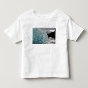 USA, Alaska, Tongass National Forest, Tracy 2 Toddler T-shirt
