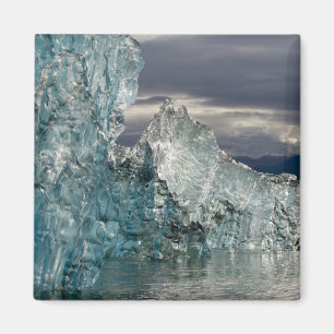USA, Alaska, Tongass National Forest, Tracy 3 Magnet