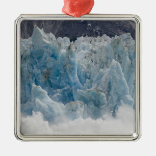 USA, Alaska, Tongass National Forest, Tracy Metal Ornament