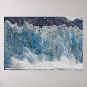 USA, Alaska, Tongass National Forest, Tracy Poster