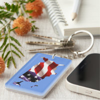 USA - American Flag Within America
