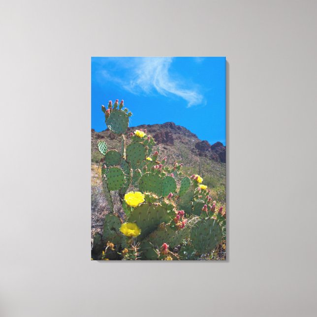 USA, Arizona. Cactus In The Hills Canvas Print (Front)