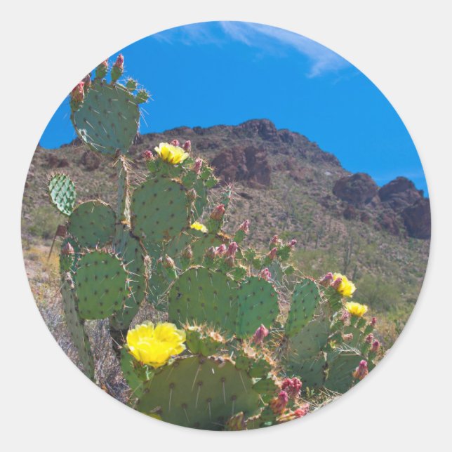 USA, Arizona. Cactus In The Hills Classic Round Sticker (Front)