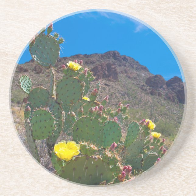 USA, Arizona. Cactus In The Hills Coaster (Front)