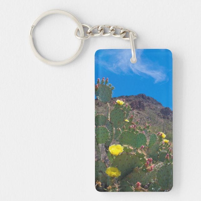 USA, Arizona. Cactus In The Hills Keychain (Front)