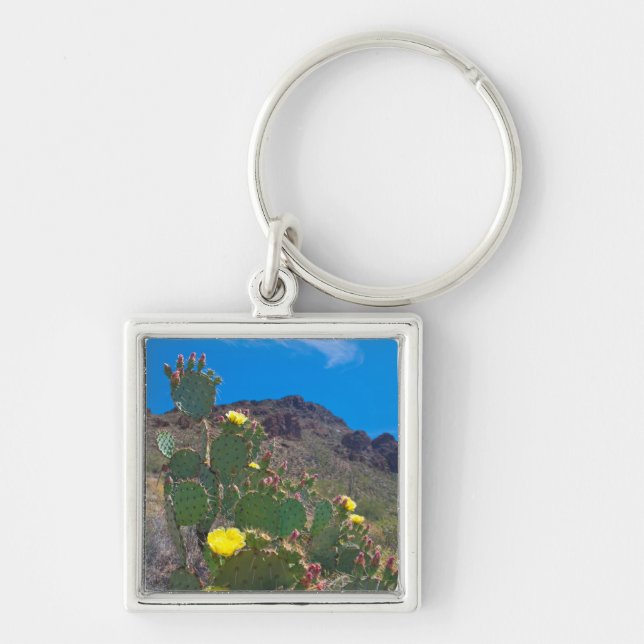 USA, Arizona. Cactus In The Hills Keychain (Front)