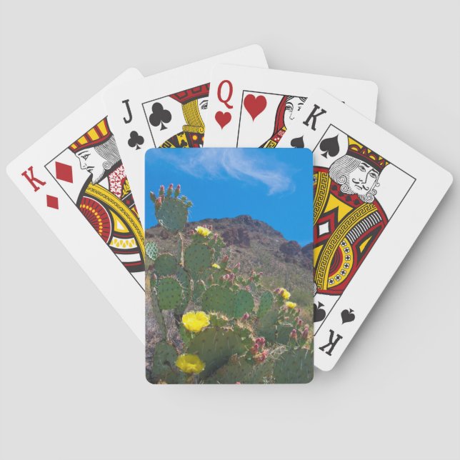 USA, Arizona. Cactus In The Hills Playing Cards (Back)