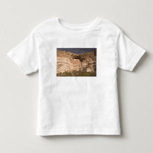 USA, Arizona, Camp Verde: Montezuma Castle Toddler T-shirt