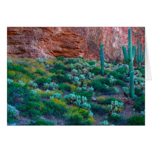 USA, Arizona. Desert Flora