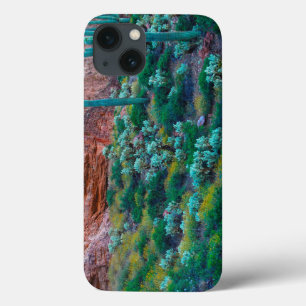 USA, Arizona. Desert Flora iPhone 13 Case