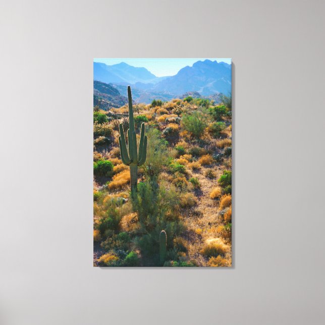 USA, Arizona. Desert View Canvas Print (Front)