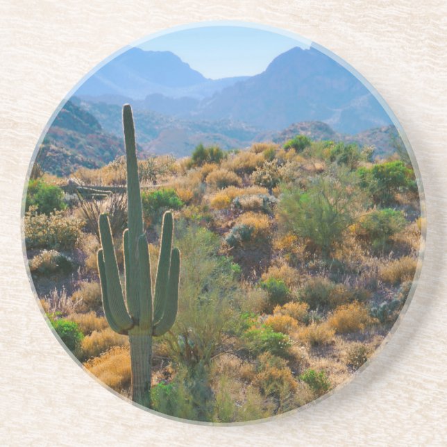 USA, Arizona. Desert View Coaster (Front)