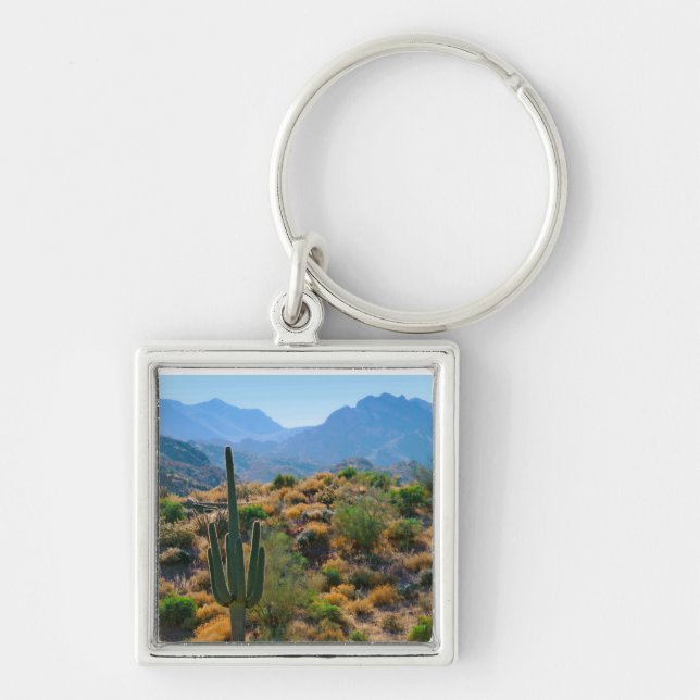 USA, Arizona. Desert View Keychain (Front)