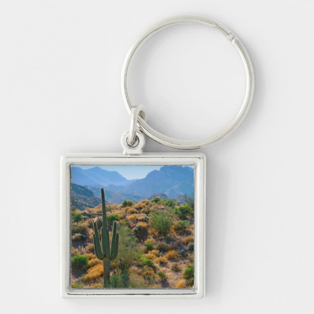 USA, Arizona. Desert View Keychain (Front)