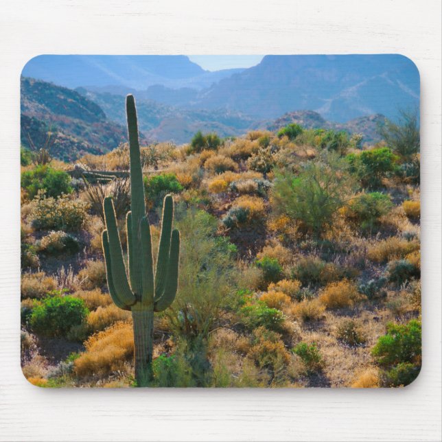 USA, Arizona. Desert View Mouse Pad (Front)