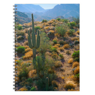 USA, Arizona. Desert View Notebook